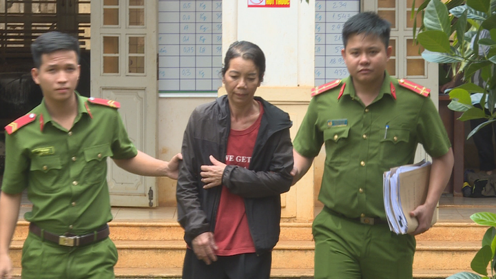 Bắt nữ quái dùng sổ đỏ giả chiếm đoạt hơn 1 tỷ đồng của ngân hàng - 1