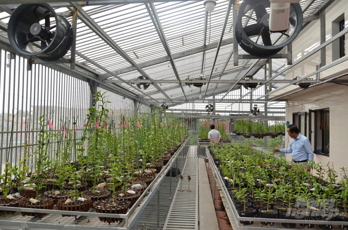 Có gì trong vườn lan đột biến lớn tốp đầu miền Bắc? - 1