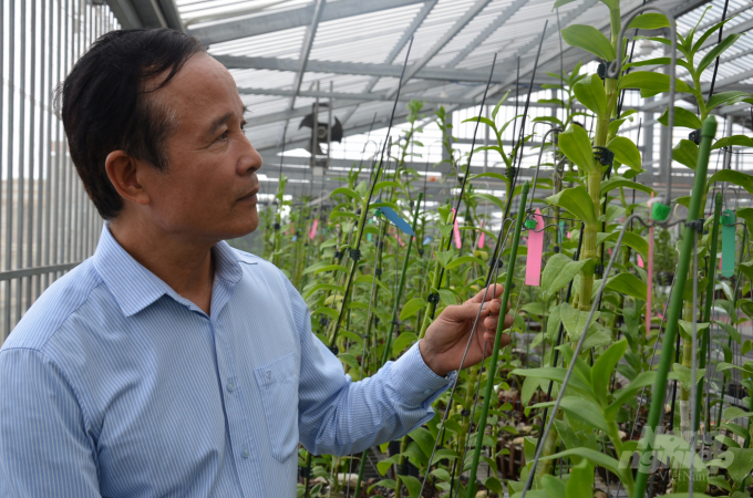 Có gì trong vườn lan đột biến lớn tốp đầu miền Bắc? - 2