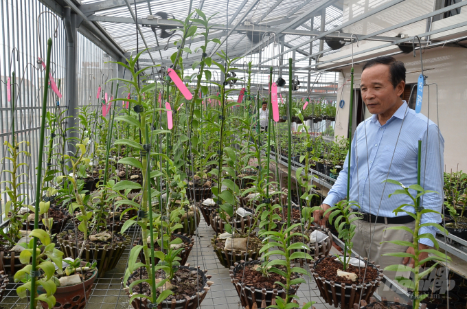 Có gì trong vườn lan đột biến lớn tốp đầu miền Bắc? - 6