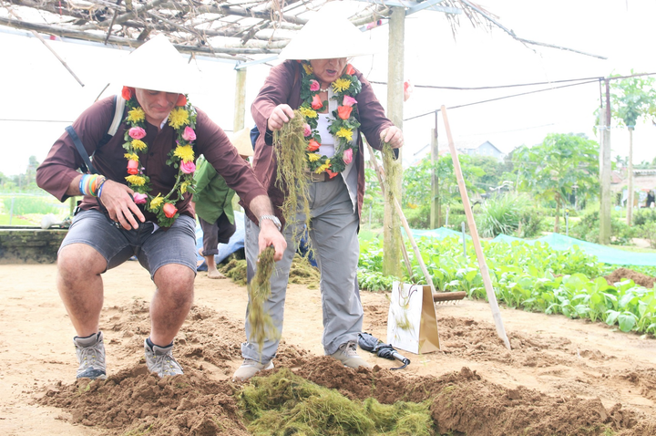 Về làng rau sạch 400 năm tuổi xem du khách vọc đất trồng rau - 5