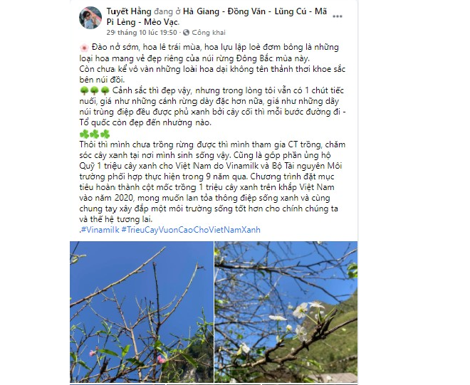 Cộng đồng mạng quyết tâm 'phủ xanh' mạng xã hội - 3