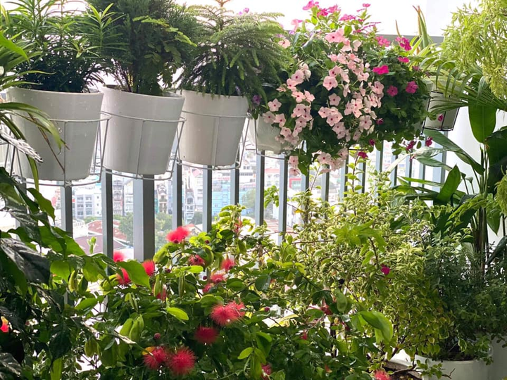 Cộng đồng mạng quyết tâm 'phủ xanh' mạng xã hội - 2