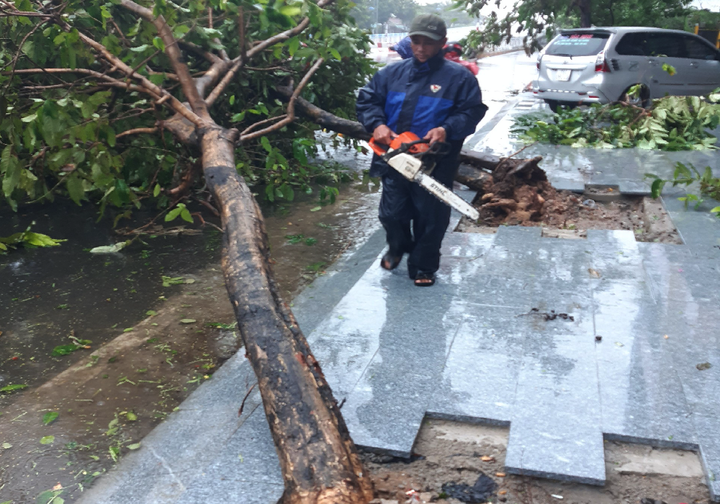 Ảnh: Bão số 12 áp sát, Phú Yên chìm trong biển nước, nhiều cây xanh ngã đổ - 2