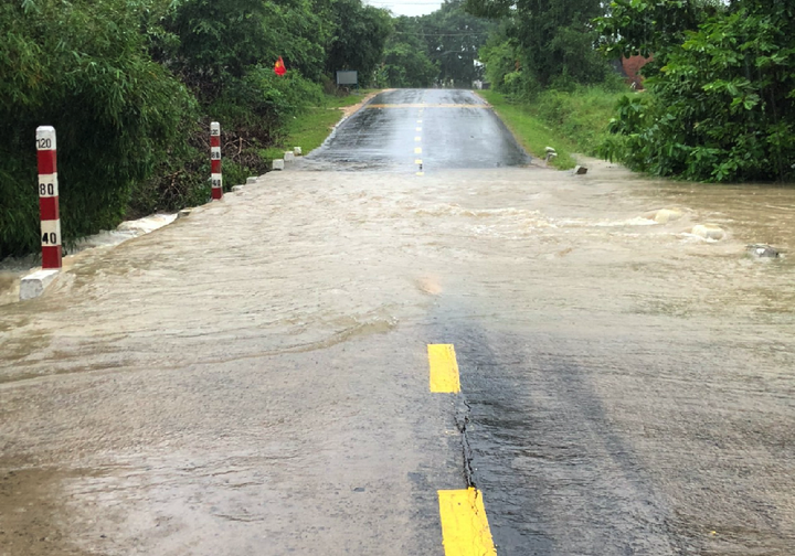 Ảnh: Bão số 12 áp sát, Phú Yên chìm trong biển nước, nhiều cây xanh ngã đổ - 8