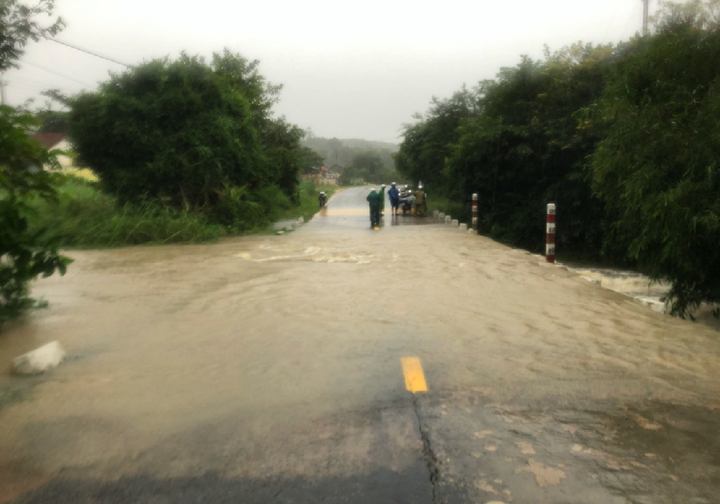 Ảnh: Bão số 12 áp sát, Phú Yên chìm trong biển nước, nhiều cây xanh ngã đổ - 6