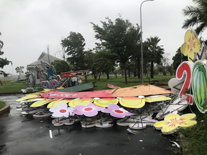 Ảnh: Bão số 12 áp sát, Phú Yên chìm trong biển nước, nhiều cây xanh ngã đổ - 3