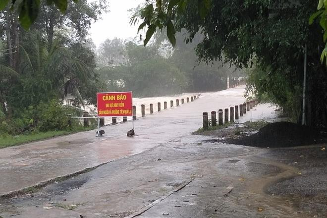 Ảnh: Bão số 12 áp sát, Phú Yên chìm trong biển nước, nhiều cây xanh ngã đổ - 7