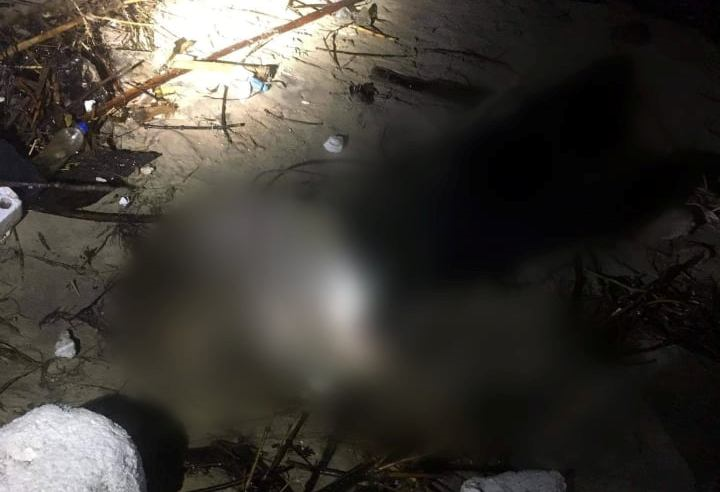 Tàu hàng bị phá nước chìm: Thi thể thuyền trưởng dạt vào bờ biển Quảng Ngãi - 1