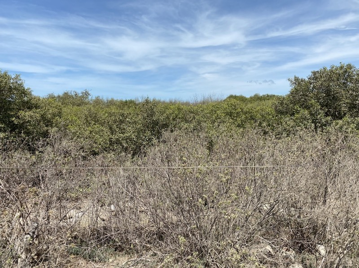 Yêu cầu giải quyết vụ gần 10 năm chưa bồi thường thiệt hại đất cho người dân - 1