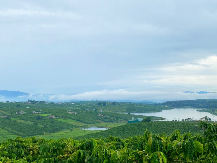 Lâm Đồng đón đầu xu hướng đầu tư bất động sản ‘bỏ biển về đồi’ - 2