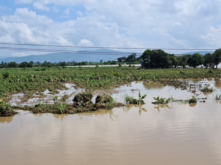 Nước lũ lên nhanh ở Gia Lai, chia cắt giao thông tại quốc lộ 25 - 5