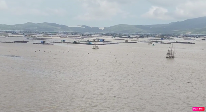 Người dân 'thủ phủ' tôm hùm Phú Yên sau bão số 12: 'Chỉ có chết tôi mới hết nợ' - 3