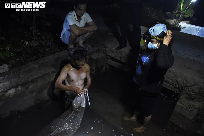 Nông dân Hải Dương chong đèn đi săn 'lộc trời', kiếm tiền triệu mỗi đêm - 2