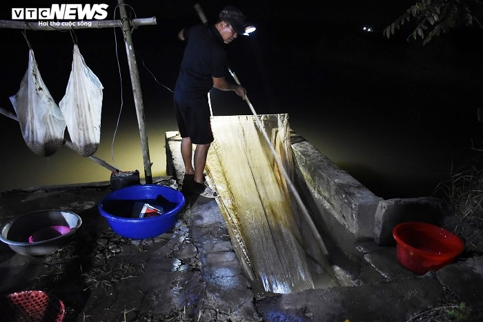 Nông dân Hải Dương chong đèn đi săn 'lộc trời', kiếm tiền triệu mỗi đêm - 5