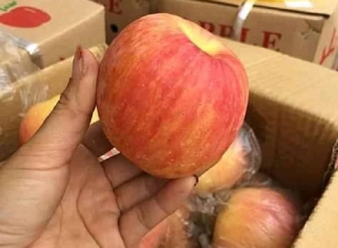 Táo xuất xứ Trung Quốc đội lốt đặc sản Hà Giang - 4