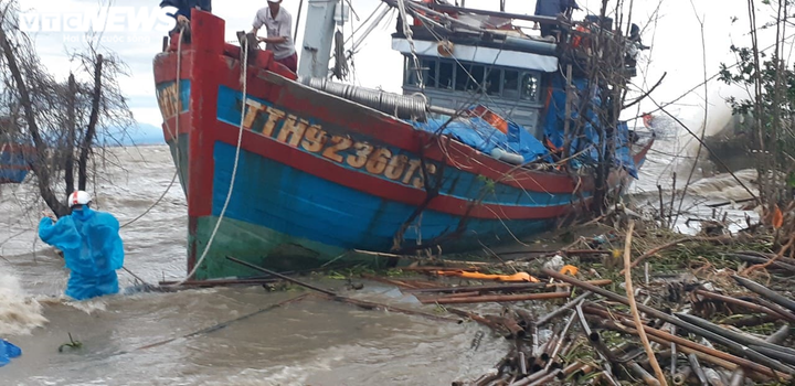 Bão 13 đổ bộ: Tàu cá bị sóng đánh chìm, gió quật đổ cây cổ thụ ở Huế - 6