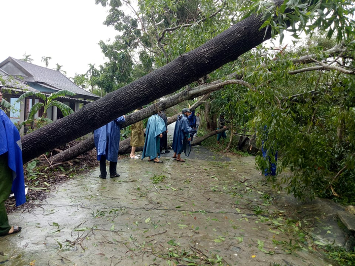 Bão 13 đổ bộ: Tàu cá bị sóng đánh chìm, gió quật đổ cây cổ thụ ở Huế - 10