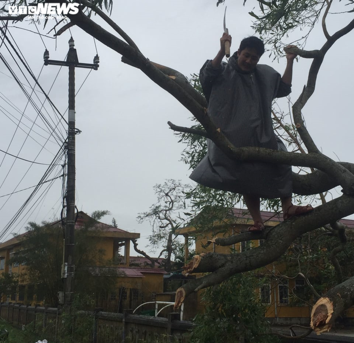 Bão 13 đổ bộ: Tàu cá bị sóng đánh chìm, gió quật đổ cây cổ thụ ở Huế - 2