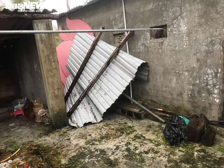 Bão 13 đổ bộ: Tàu cá bị sóng đánh chìm, gió quật đổ cây cổ thụ ở Huế - 3