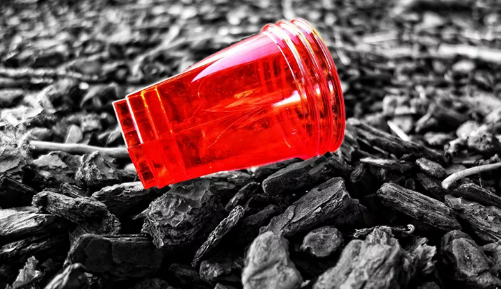 Trung Quốc tạo ra đĩa bát 'xanh' có thể tự hủy trong 60 ngày - 1