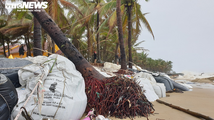 Ảnh: Sóng đánh tan hoang bờ biển Hội An, nhiều nhà dân, nhà hàng đổ sập - 3