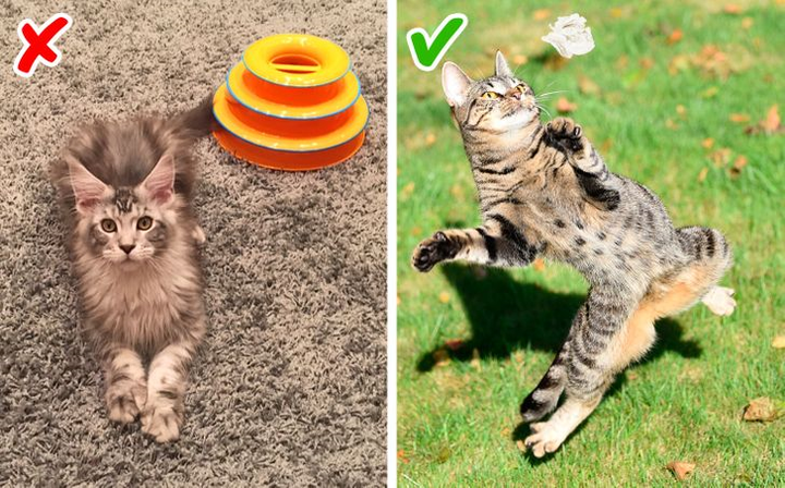 8 món đồ mua chỉ phí tiền, người biết chi tiêu không bao giờ nhìn đến - 2