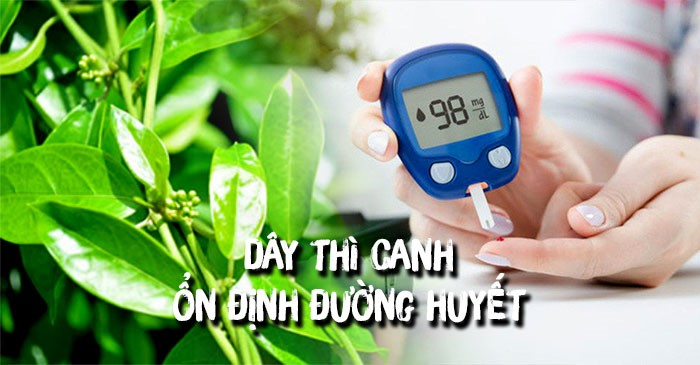 An đường huyết Lakoo - xua tan nỗi lo bệnh tiểu đường - 1