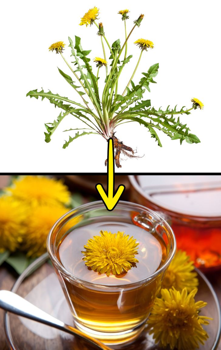 Tỏi, cải bó xôi - thực phẩm giúp tuyến tuỵ của bạn khoẻ mạnh hơn - 7