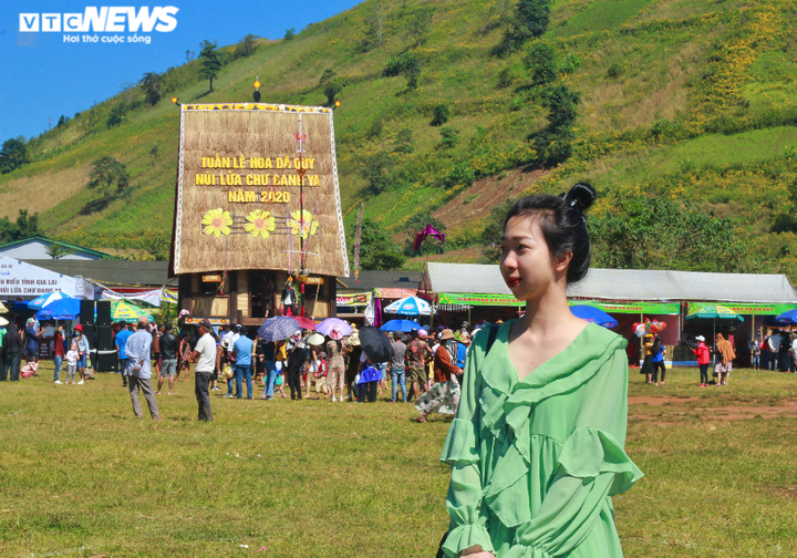 Ảnh: Du khách nườm nượp đổ về Gia Lai tham gia lễ hội hoa dã quỳ - 5