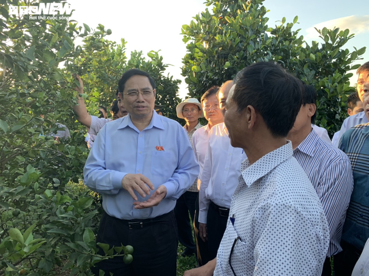 Ông Phạm Minh Chính: Hết dự án, xử lý pin mặt trời thế nào? - 2