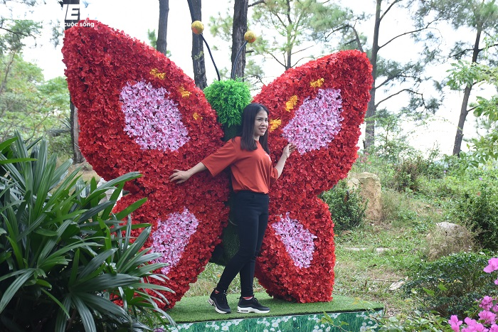 Ngắm vẻ đẹp tĩnh lặng của 'Đà Lạt thu nhỏ' giữa lòng Quảng Ninh - 7