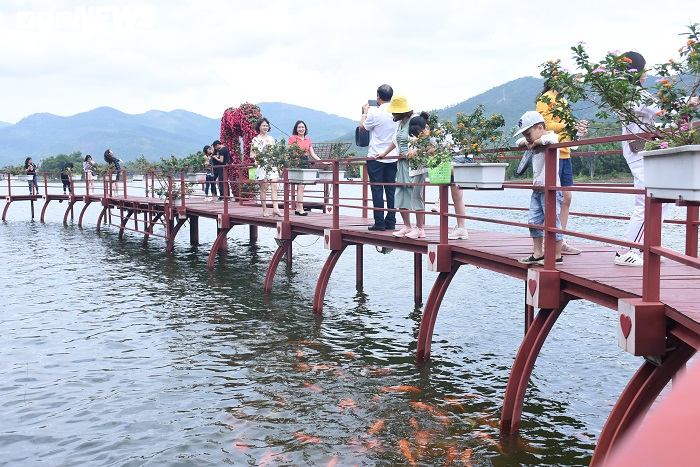 Ngắm vẻ đẹp tĩnh lặng của 'Đà Lạt thu nhỏ' giữa lòng Quảng Ninh - 4