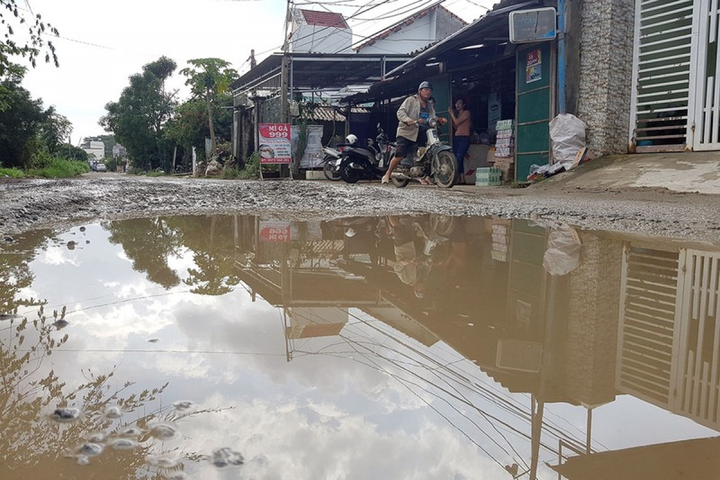 Sai phạm tại cao tốc Đà Nẵng - Quảng Ngãi: Cả 7 gói thầu bị rút ruột thế nào? - 5