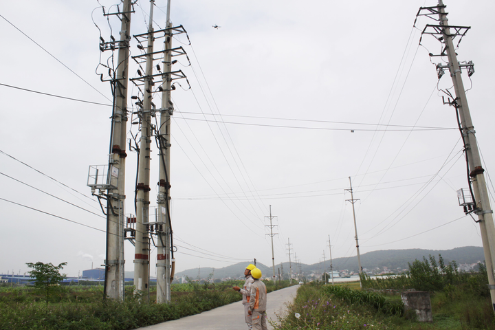 Điện lực Bắc Ninh: Ứng dụng hiệu quả công nghệ thông tin vào sản xuất kinh doanh - 5