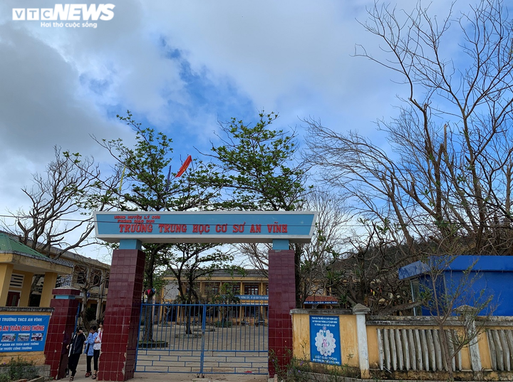 Ảnh: Hàng nghìn cây xanh trên đảo tiền tiêu Lý Sơn trơ trụi lá, chết khô - 8