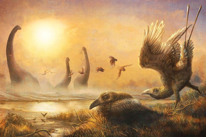  Chiếc mỏ giống lưỡi hái của loài chim 68 triệu năm tuổi - 1