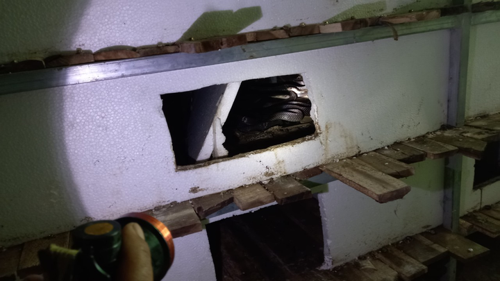 Ảnh: Nuôi loài rắn cực độc, anh nông dân miền Tây thu tiền tỷ mỗi năm - 4