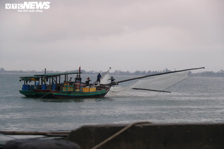 Được mùa ruốc biển, ngư dân Hà Tĩnh kiếm tiền triệu mỗi ngày - 9