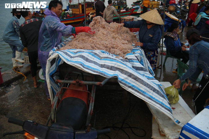 Được mùa ruốc biển, ngư dân Hà Tĩnh kiếm tiền triệu mỗi ngày - 4