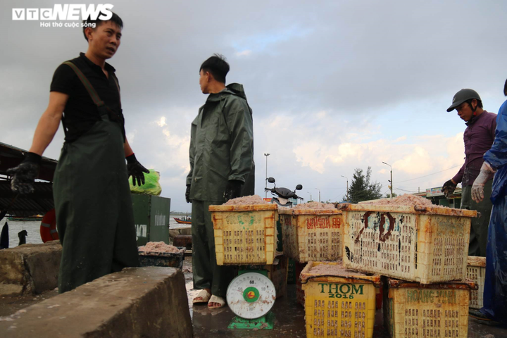 Được mùa ruốc biển, ngư dân Hà Tĩnh kiếm tiền triệu mỗi ngày - 2