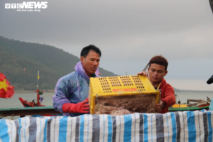 Được mùa ruốc biển, ngư dân Hà Tĩnh kiếm tiền triệu mỗi ngày - 3