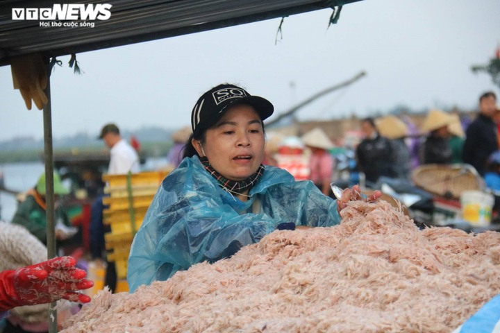 Được mùa ruốc biển, ngư dân Hà Tĩnh kiếm tiền triệu mỗi ngày - 6