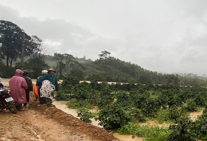 Danh tính 2 du khách bị lũ cuốn mất tích khi đi cầu treo ở Lâm Đồng - 1