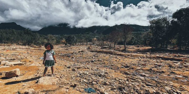 'Sống Sau Lũ' kêu gọi ủng hộ con giống để tái thiết cuộc sống người dân - 2