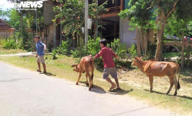 Sai phạm tại đề án trăm tỷ ở Nghệ An: 1 bị can chuyển tội danh 'Tham ô tài sản' - 2