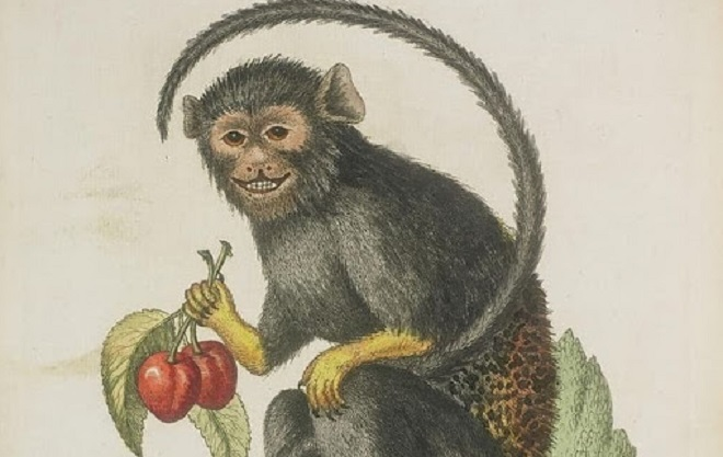 Tử vi 12 con giáp ngày 30/11: Tuổi Sửu gặp chuyện thị phi - 2