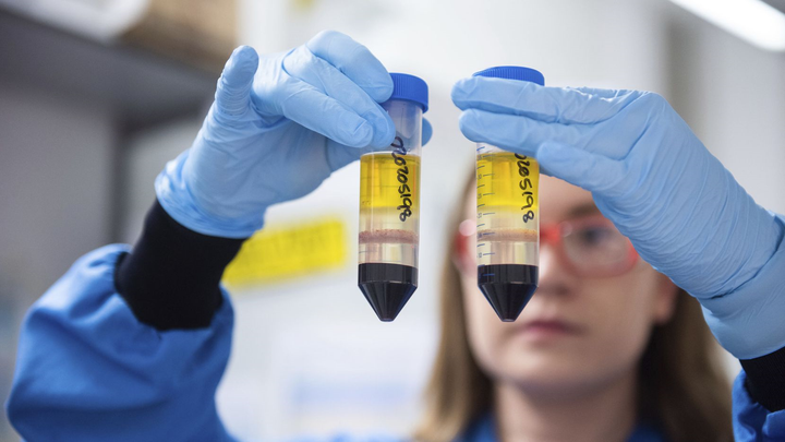 Anh bắt đầu tiêm vaccine COVID-19 vài ngày tới - 1