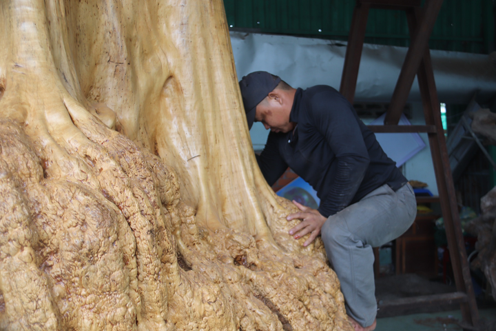 Gốc bằng lăng cườm khổng lồ được trả 250 triệu đồng mà chủ nhân chưa bán - 2