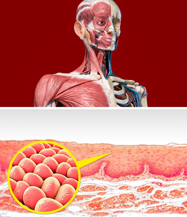 Điều gì xảy ra với cơ thể khi bạn ăn hành tây mỗi ngày? - 4